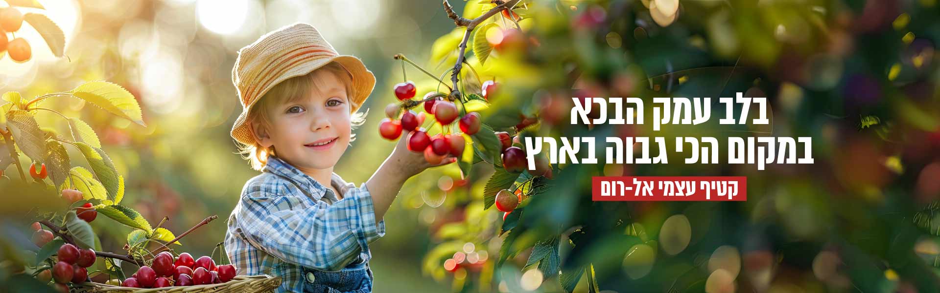 קטיף עצמי אל-רום