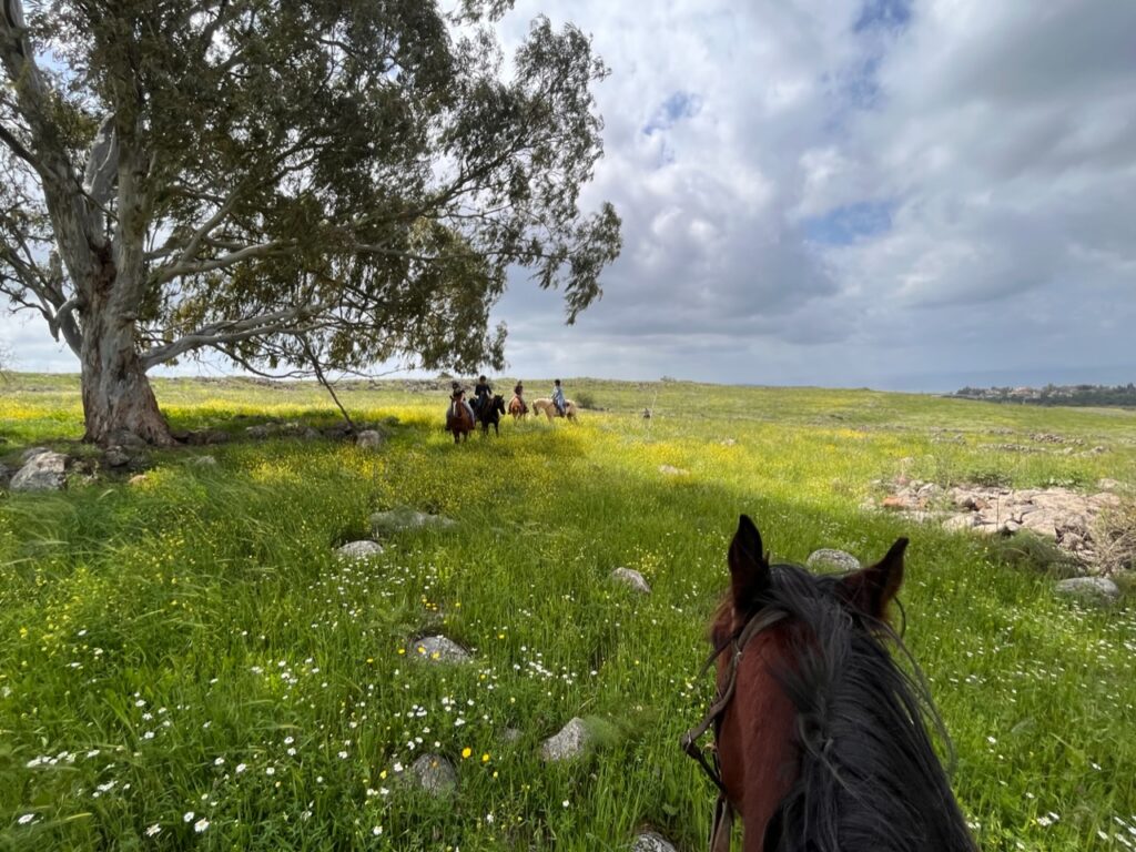 חוות שביט — כנף