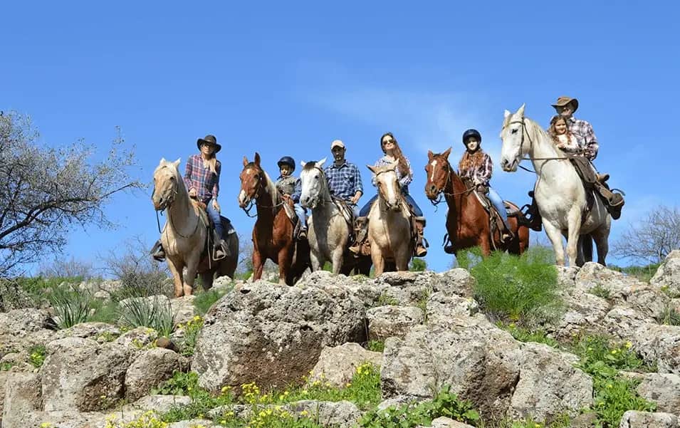 חוות סוסים — קיבוץ אורטל